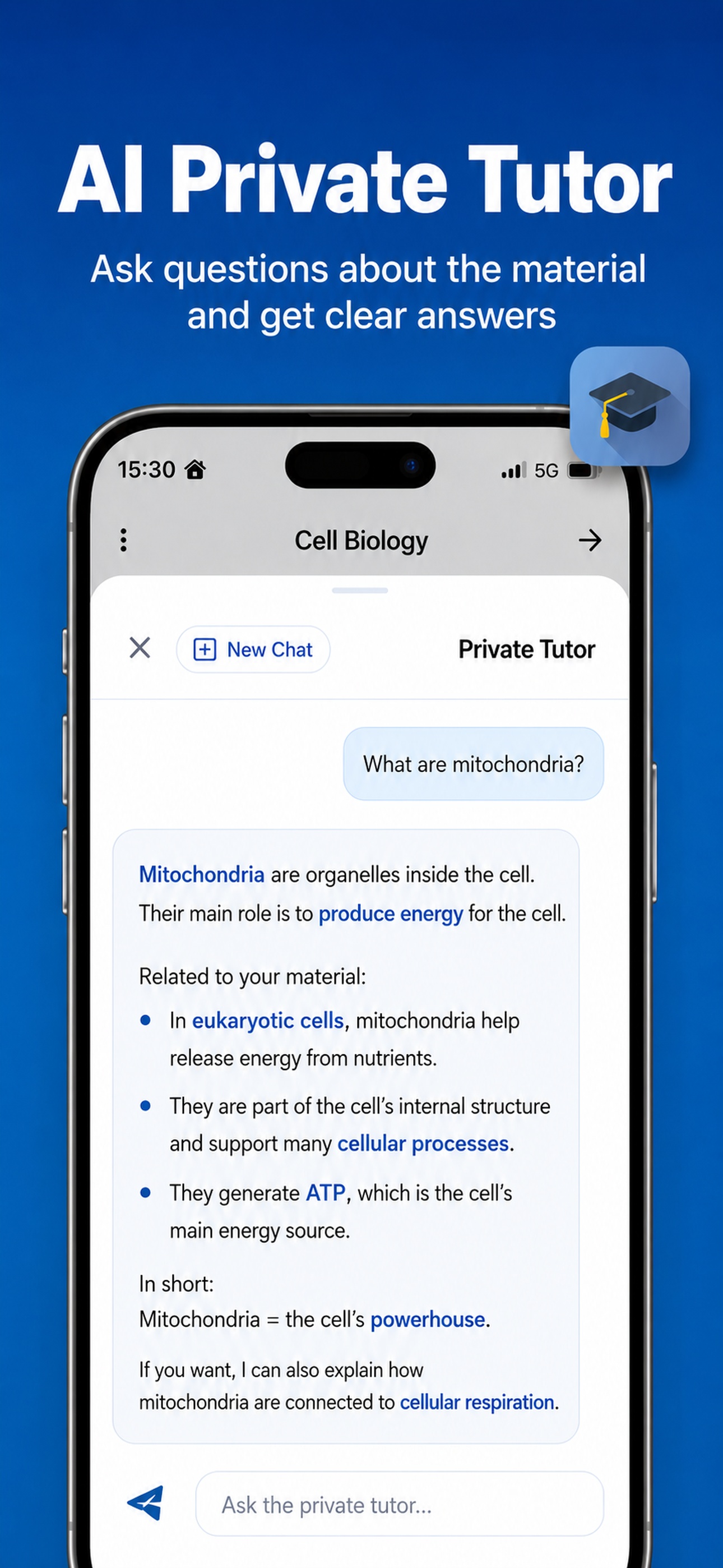 AI private tutor for clear answers