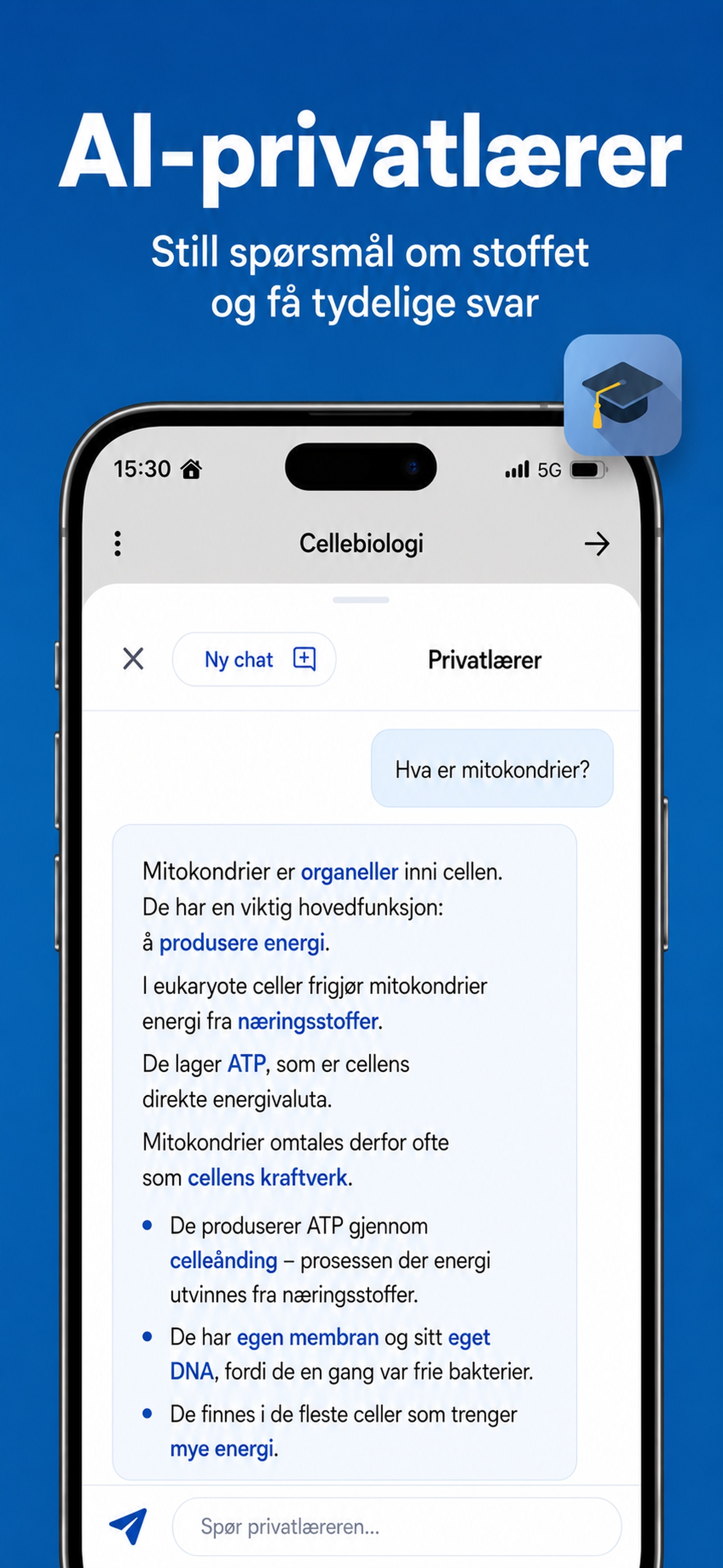 AI-privatlærer for tydelige svar